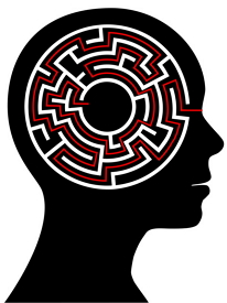 The brain