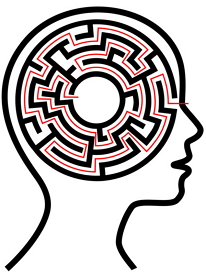 The brain