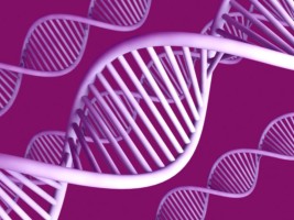 DNA