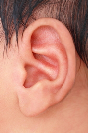 Ear