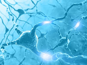 neural network